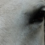 072be0e27f4a3e51388092a3ba22bd7f