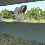 369d406d2fb89d0219da5f78c9c84dbf