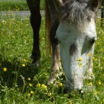 6d18fc6b10b4d2d3b89a34d3ec32e8f7