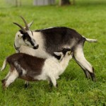 77164491ac844f683723651bbe480877