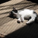 7a1f2f5bbdc1bd3bf404390e7f90ad05