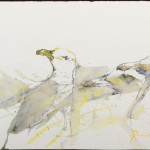 bild-gabi-aug16_36_d