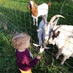 IMG-20211103-WA0011 (002)