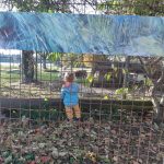 U, Hofmann Grosskind ausstellung (002)