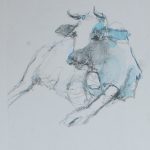 DSC_3429.jpgKuh blau