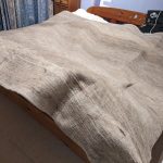 PXL_20231109_211309798