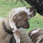 PXL_20231222_095453798