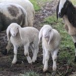 PXL_20231222_095843149