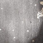 PXL_20231222_120452227