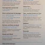 PXL_20251117_070124949